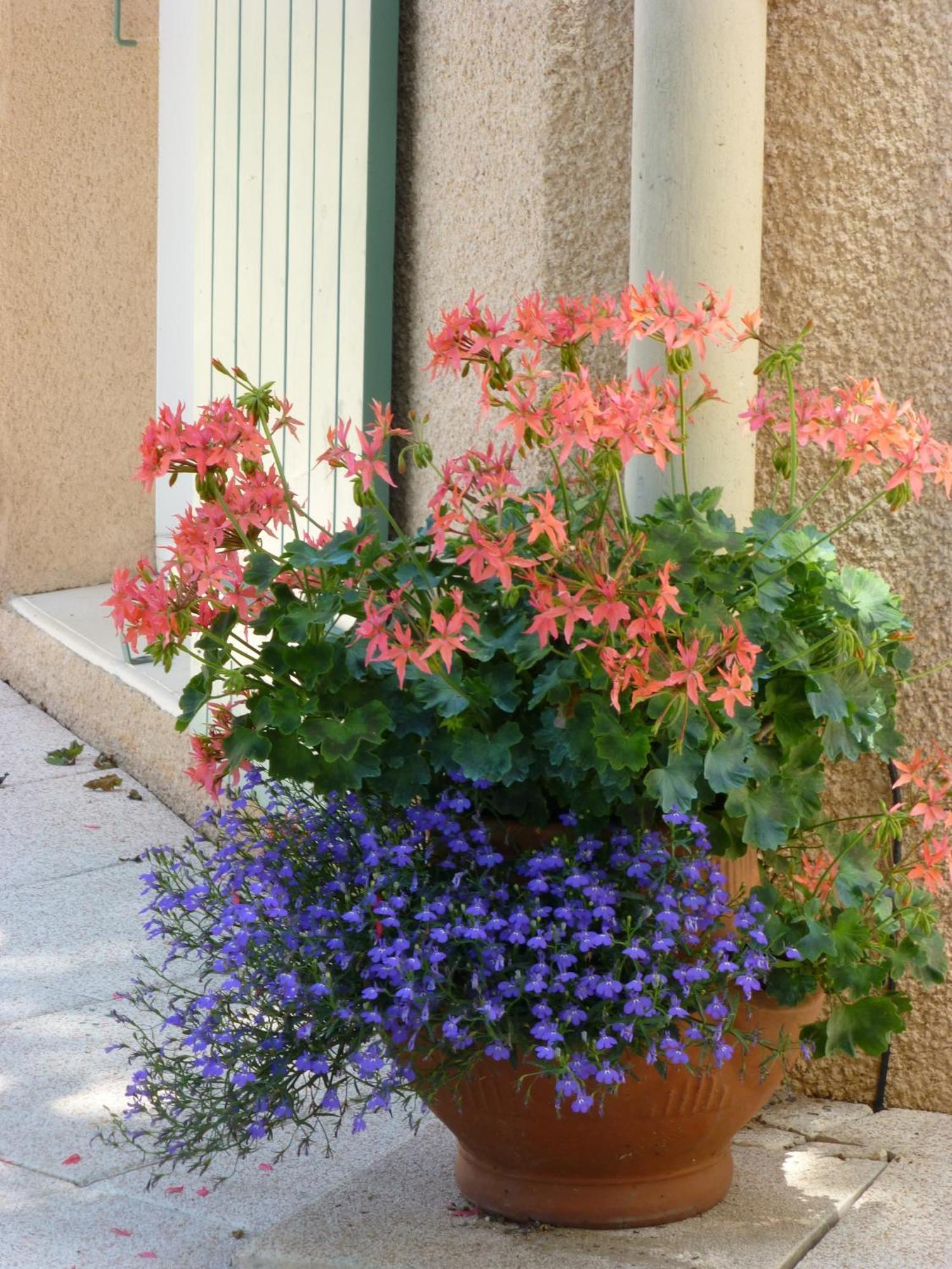 Le Relais Des Malettes Chambres D'Hotes B&B Francheville  Екстериор снимка